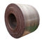 30mm Kalınlığında Karbon Çelik Rulo Q275 HR CR Rulo Konteyner Plakası Kullanımı
